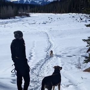 Meet your Posher, Marcy